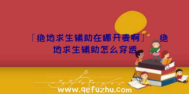 「绝地求生辅助在哪开麦啊」|绝地求生辅助怎么穿透